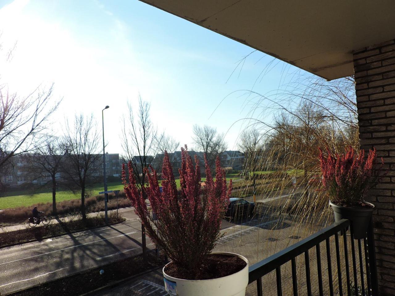 Hotel Noordzee Hoek van Holland Εξωτερικό φωτογραφία